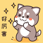 哈士奇哈小二         