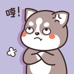 哈士奇哈小二         
