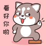 哈士奇哈小二 