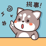 哈士奇哈小二 