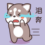 哈士奇哈小二 卡通 漫画 手绘