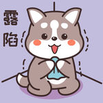 哈士奇哈小二 卡通 漫画 手绘