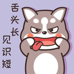 哈士奇哈小二         