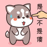 哈士奇哈小二         