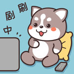 哈士奇哈小二         