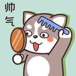 哈士奇哈小二         