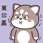 哈士奇哈小二         