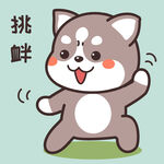 哈士奇哈小二         