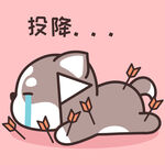 哈士奇哈小二         