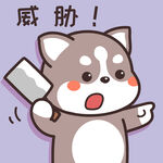 哈士奇哈小二         