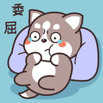 哈士奇哈小二         