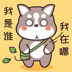 哈士奇哈小二         