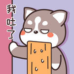 哈士奇哈小二         