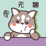 哈士奇哈小二         