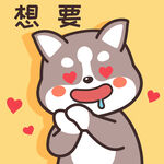 哈士奇哈小二         