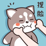 哈士奇哈小二         