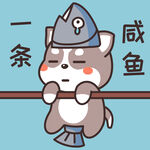 哈士奇哈小二         