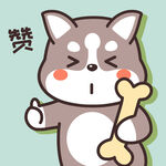 哈士奇哈小二         