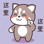 哈士奇哈小二         