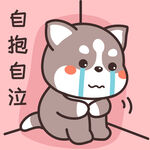 哈士奇哈小二         