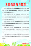常见病预防