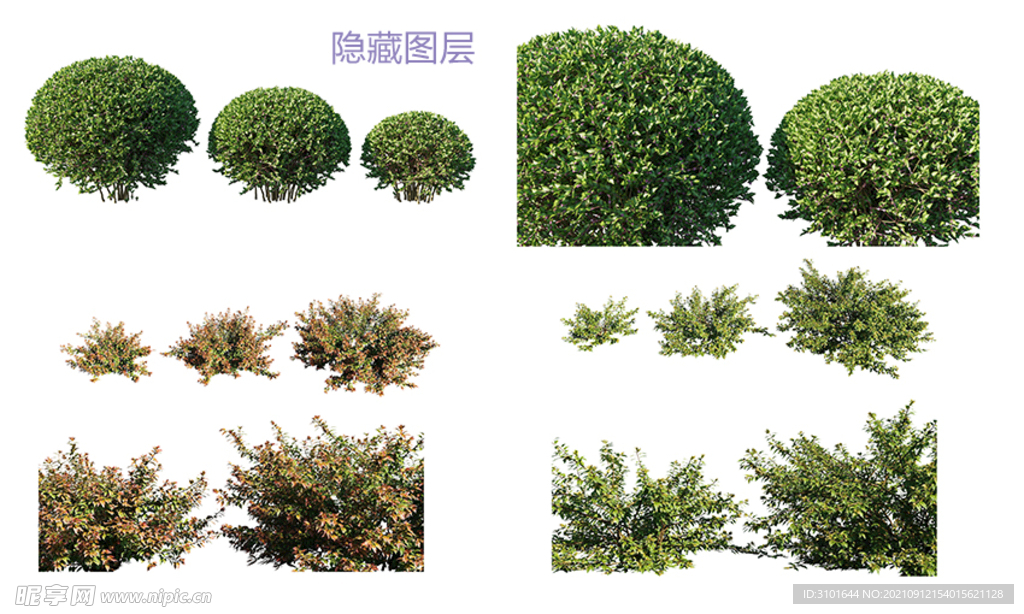 园林植物素材