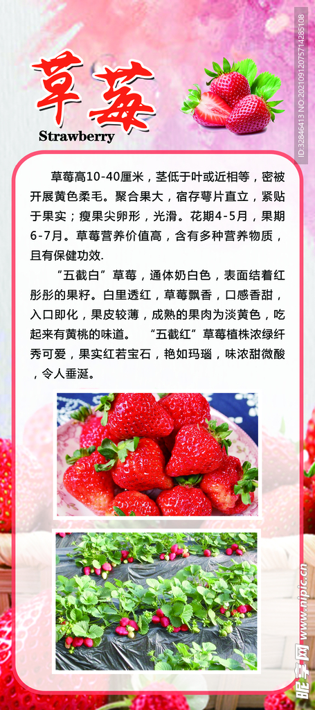 草莓展架