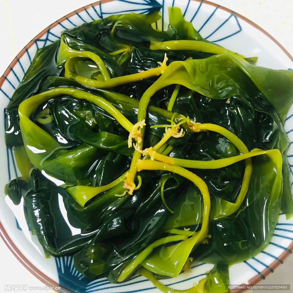 海带苗