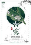 白露