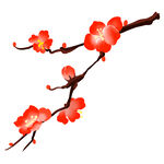 梅花素材