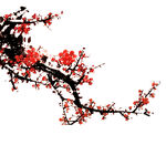 梅花素材 