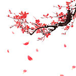 梅花素材 