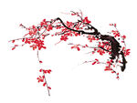 梅花素材 