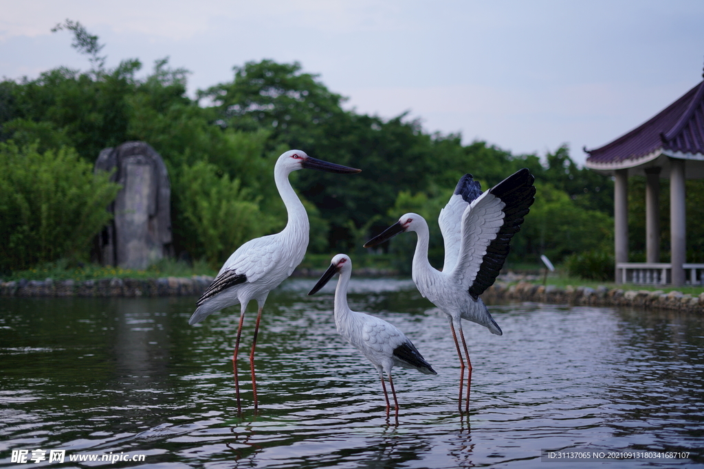  仿真鸟白鹳雕塑BY泉州江之南