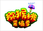 猕猴桃采摘季