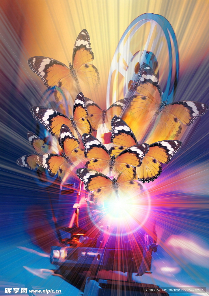 梦幻蝴蝶