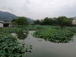 呈坎古镇