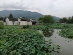 呈坎古镇