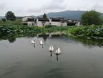 呈坎古镇