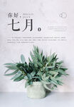 7月你好