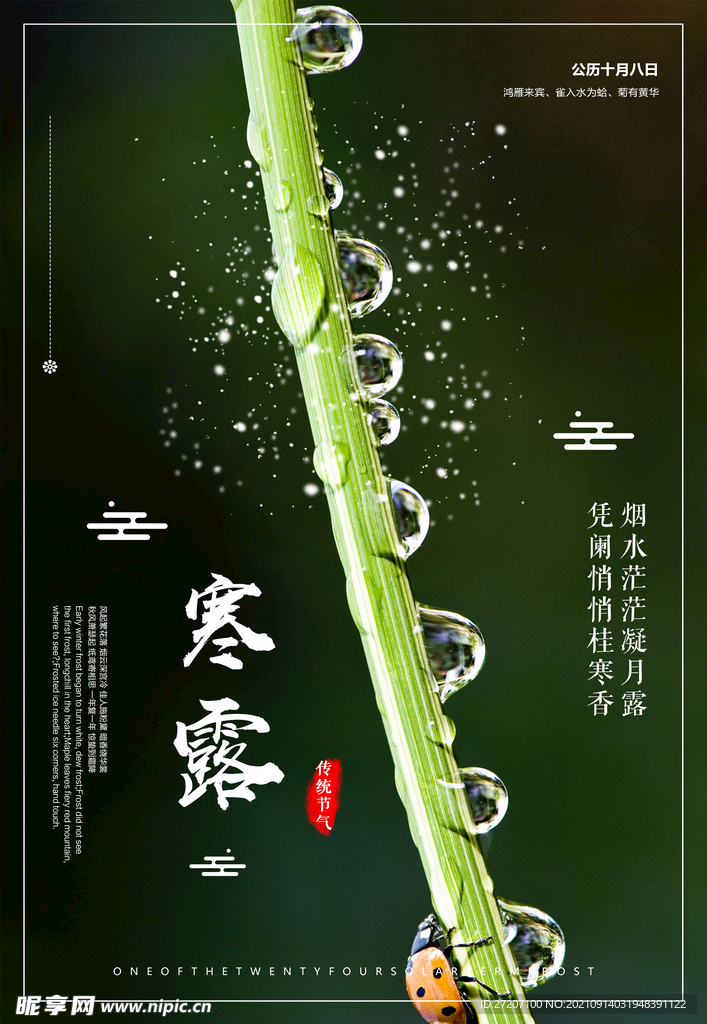 寒露