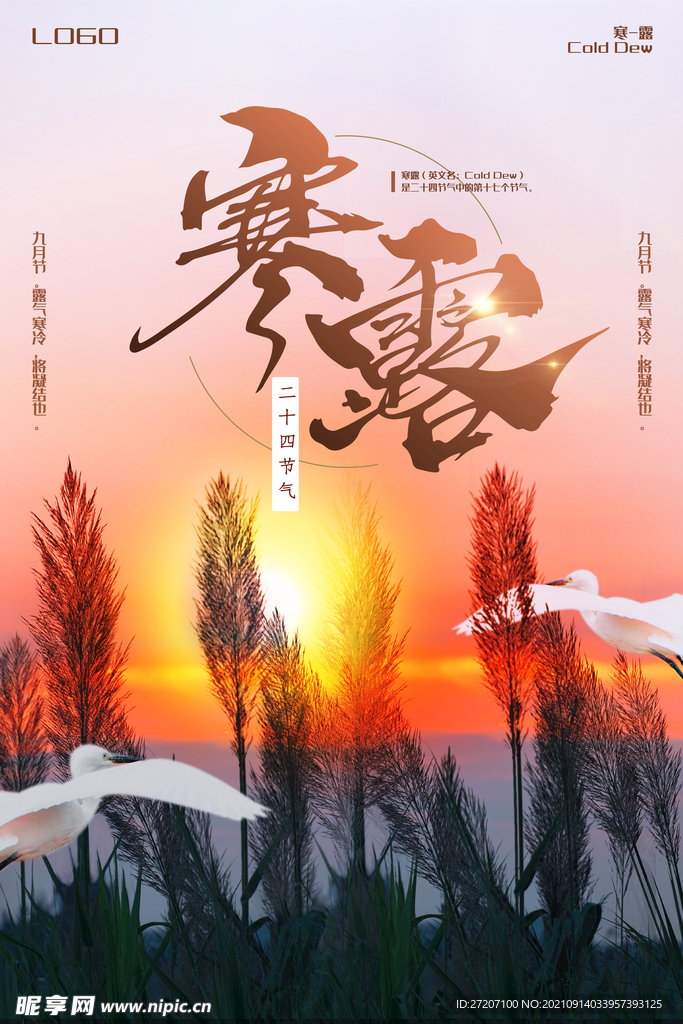 寒露