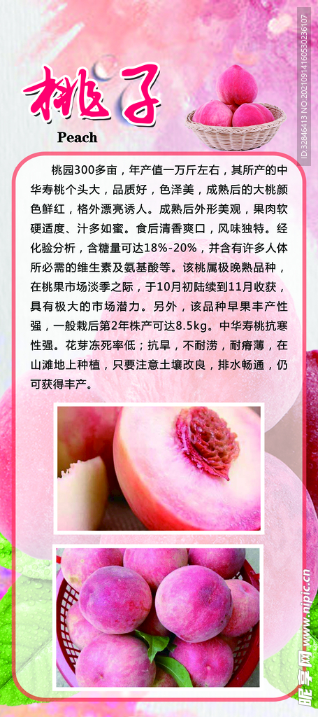 桃子 水蜜桃海报展架