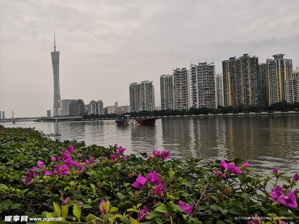 珠江风景