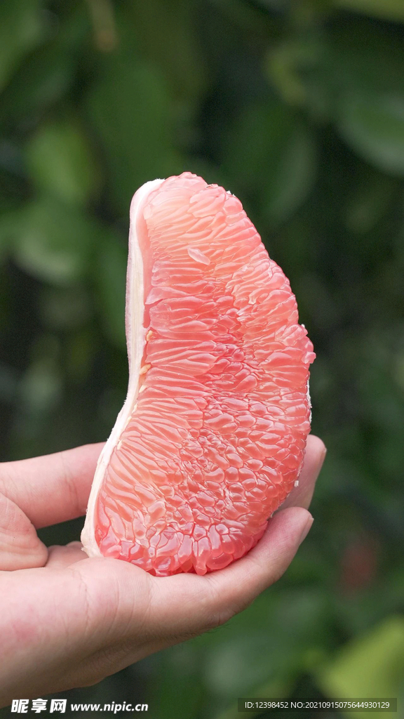 红心蜜柚