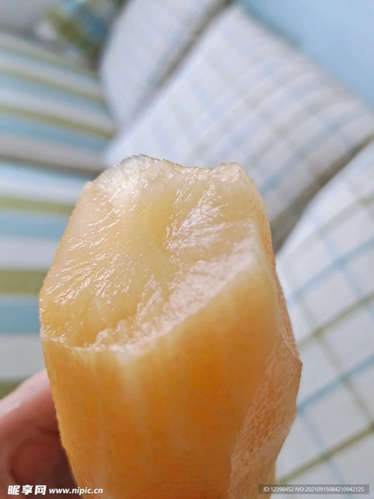 雪莲果