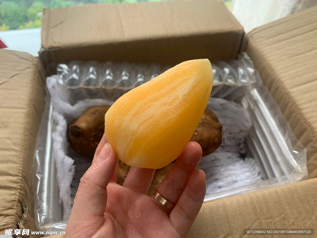 雪莲果