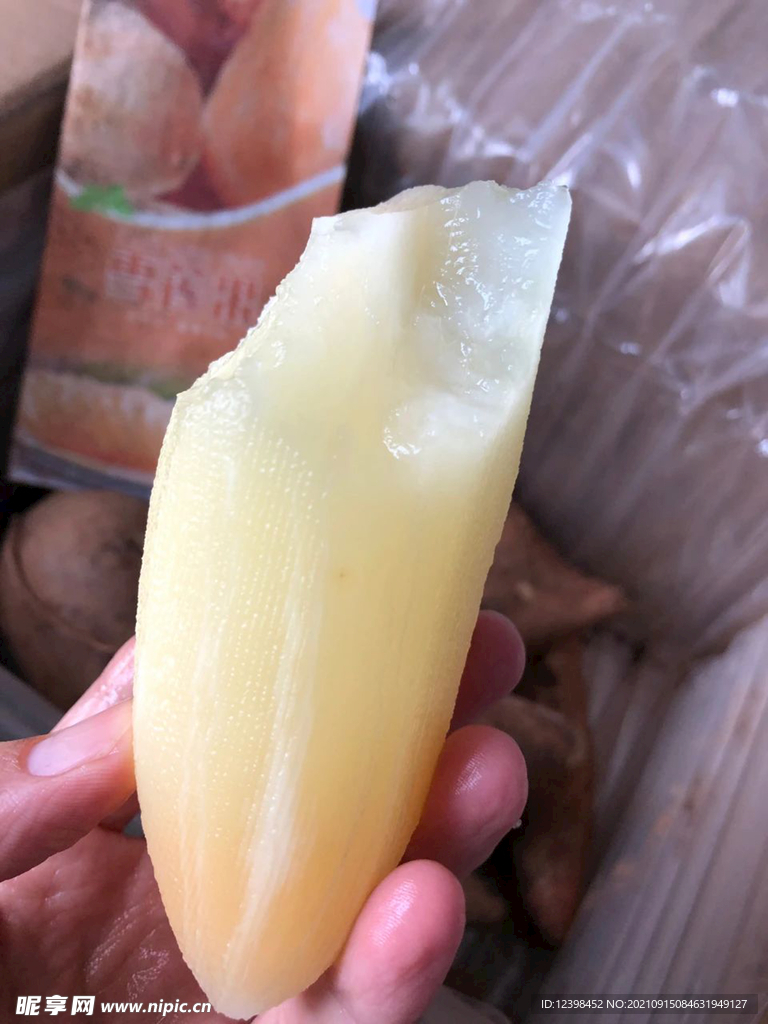 雪莲果