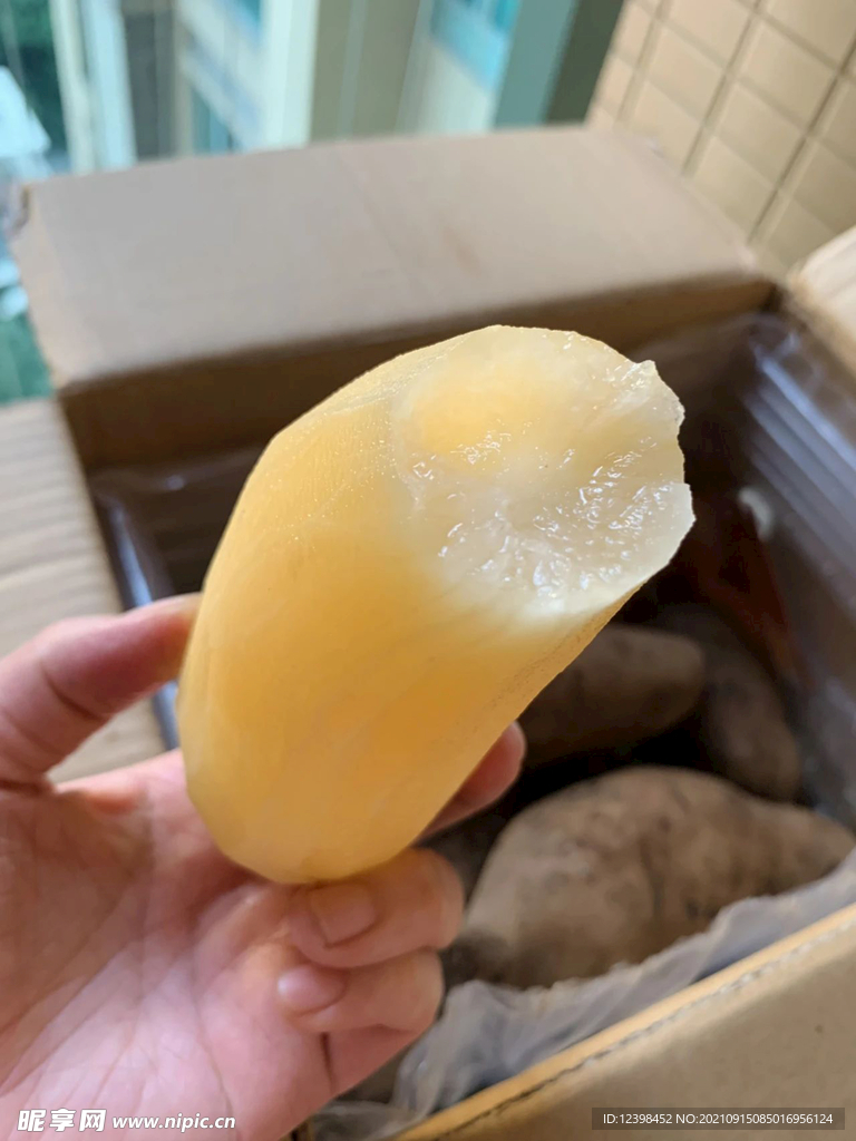 雪莲果