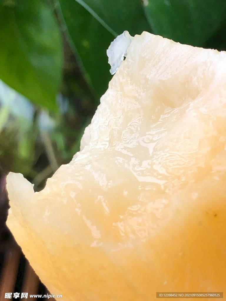 雪莲果